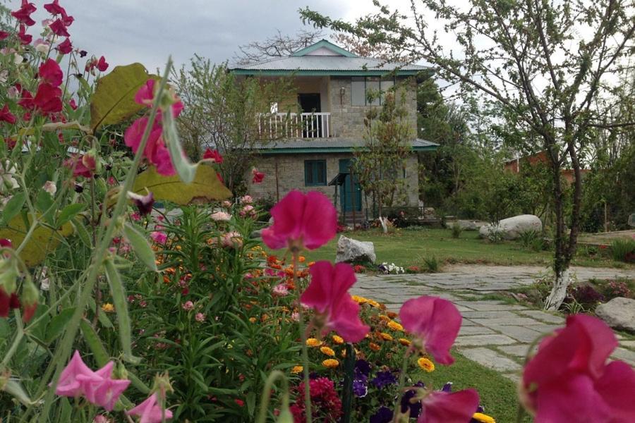 Nagri Resort Pālampur Eksteriør bilde