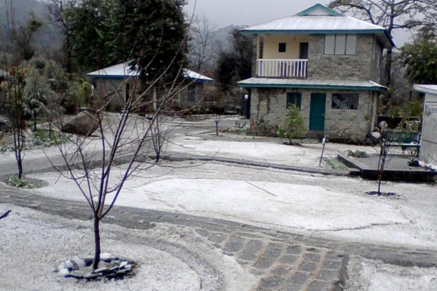 Nagri Resort Pālampur Eksteriør bilde