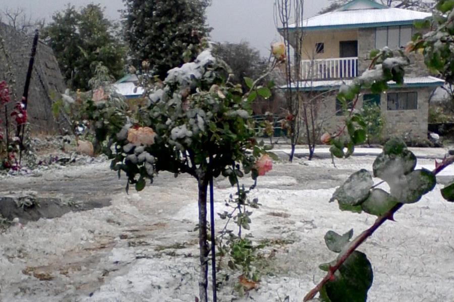 Nagri Resort Pālampur Eksteriør bilde