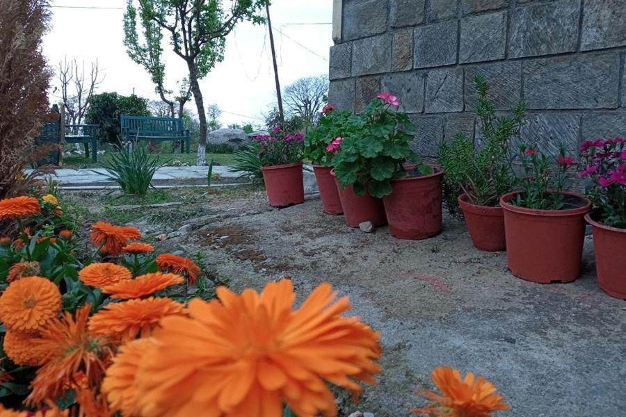 Nagri Resort Pālampur Eksteriør bilde