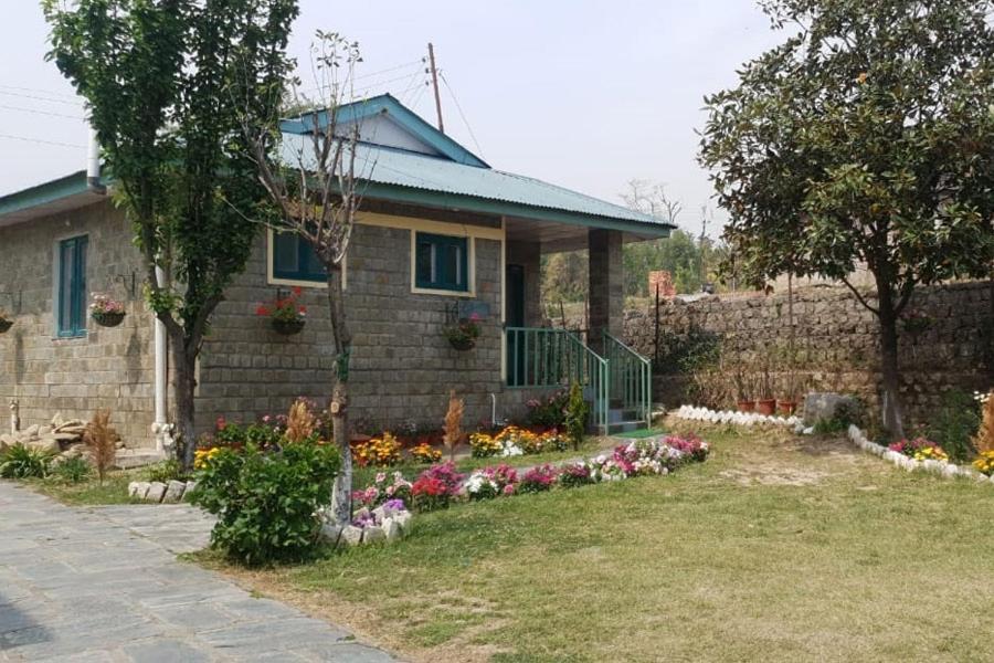 Nagri Resort Pālampur Eksteriør bilde